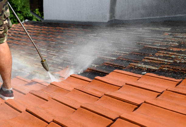 Best Deck Cleaning Services  in Newton, TX