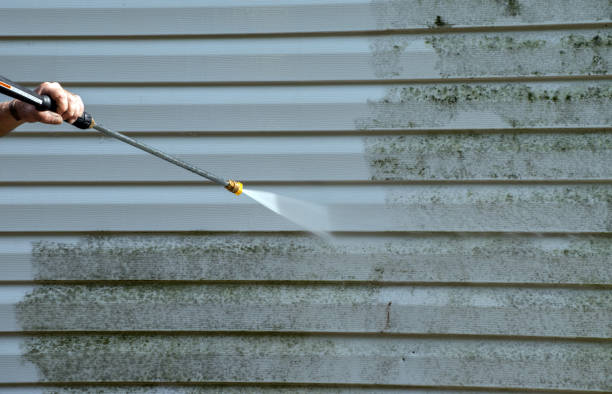 Best Deck Pressure Washing  in Newton, TX
