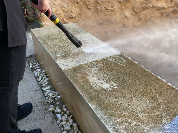 Best Local Pressure Washing Services  in Newton, TX