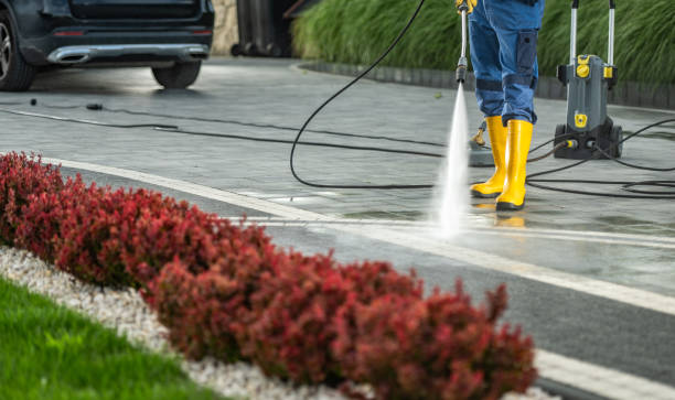 Best Affordable Power Washing  in Newton, TX