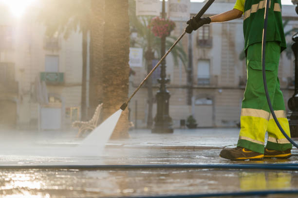Best Roof Pressure Washing  in Newton, TX
